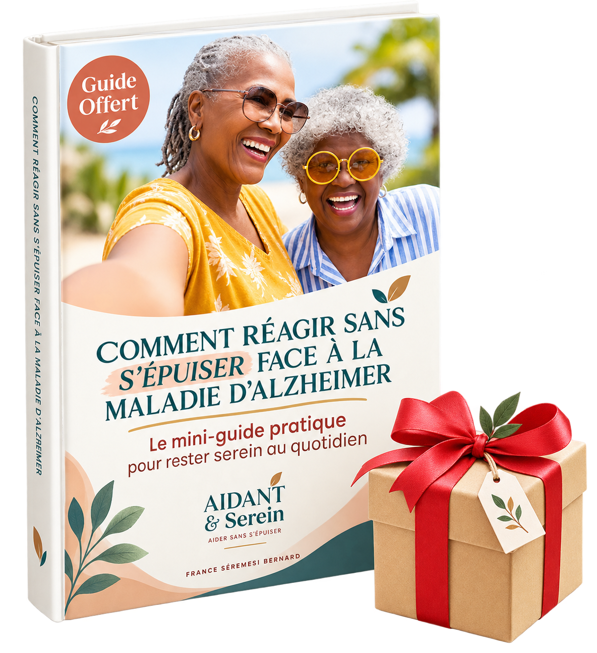 Mini-guide Réagir sans s’épuiser face à la maladie d’Alzheimer